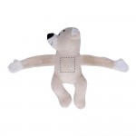 BODY OF BEAR