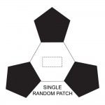 SINGLE RANDOM PATCH