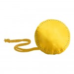 Case / Pouch
