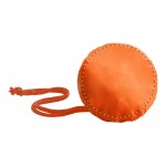 Case / Pouch