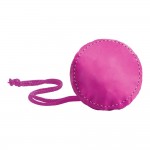 Case / Pouch