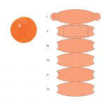 SEGMENT 2
