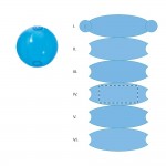 SEGMENT 4