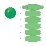 SEGMENT 1