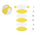 Segment 6
