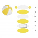 Segment 5