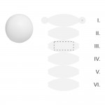 SEGMENT 3