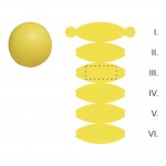 SEGMENT 3