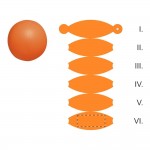 Paneel 6