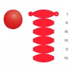 SEGMENT 1