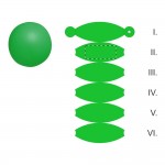 SEGMENT 2