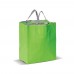 Große Kühltasche aus Non Woven 32.5 x 19.5 x 39 cm. 100 g/m², Hellgrün Große Kühltasche aus Non Woven 32.5 x 19.5 x 39 cm. 100 g/m², Hellgrün
