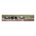 Aluminium binoculars Tobey, black