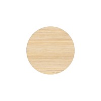 Shopping trolley token 