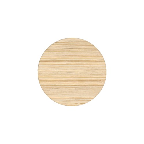 Shopping trolley token 