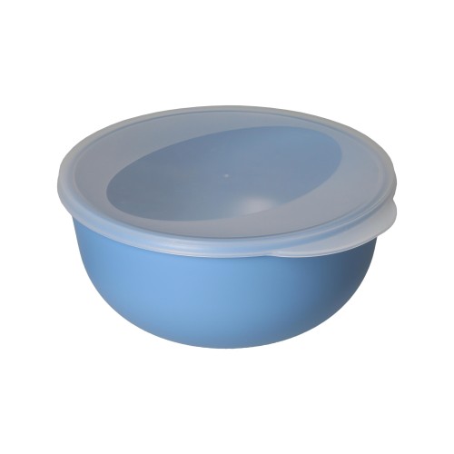 Food Bowl 