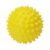 Wellness-Ball 
