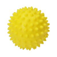 Wellness-Ball 