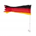 Car flag 