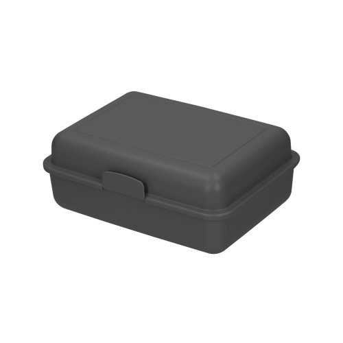 Eco-Lunch box 
