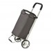 Opvouwbare boodschappen trolley, antraciet
