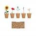 FLOWERS Bloemen kweekset FLOWERS, beige