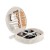 Picknick-Set HUDSON, beige