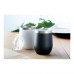 CHIN CHIN Dubbelwandige beker 300ml CHIN CHIN, zwart
