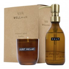 Wellmark Discovery 200 ml hand soap dispenser and 150 g scented candle set - bamboo fragrance, Amber heather