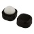 Ester lip balm, Black