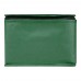 Spectrum 6-can recycled non-woven cooler bag 4L, Green