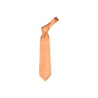 Colours necktie, orange