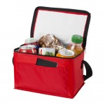 Cooler Bag